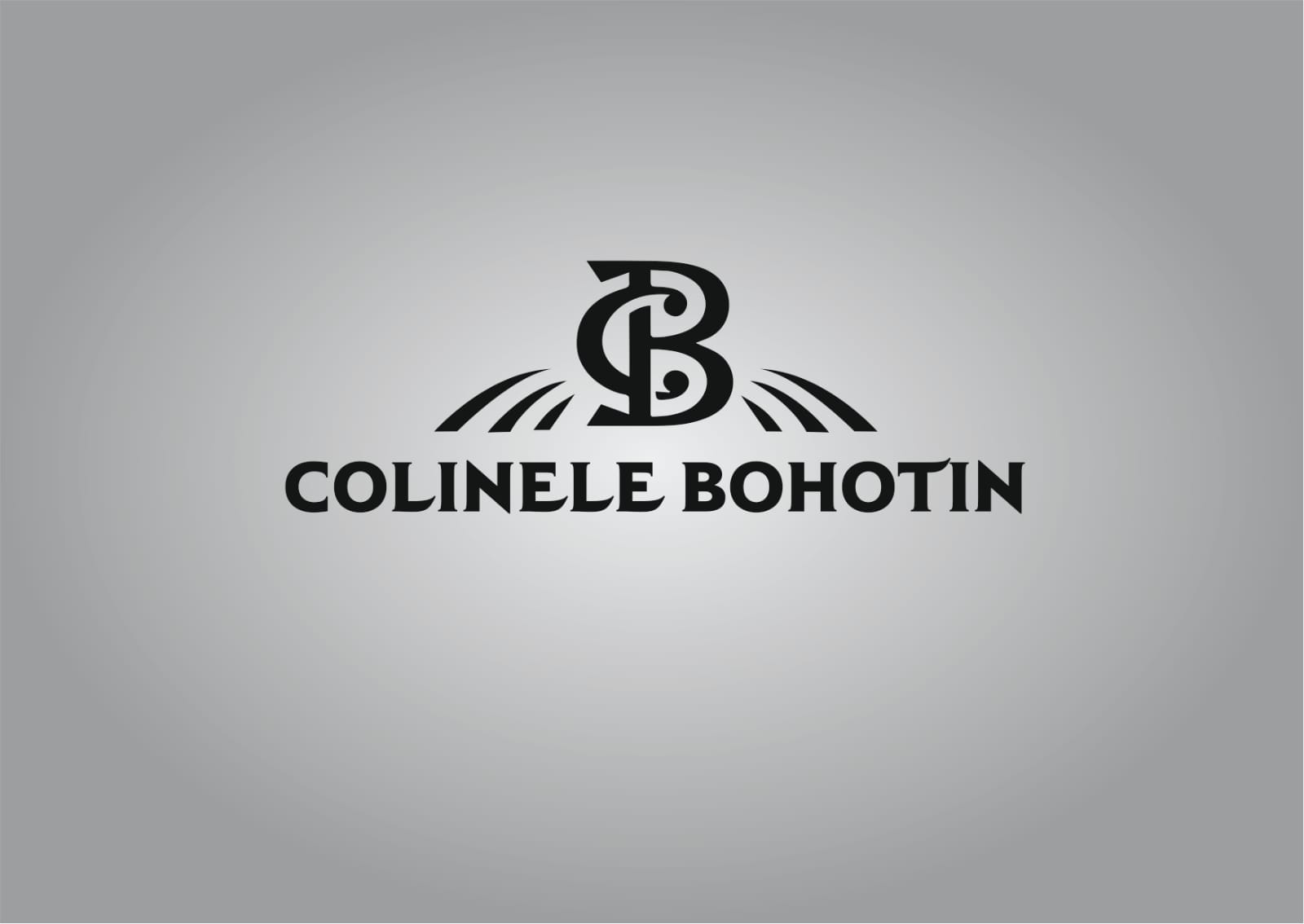 CB COLINELE BOHOTIN