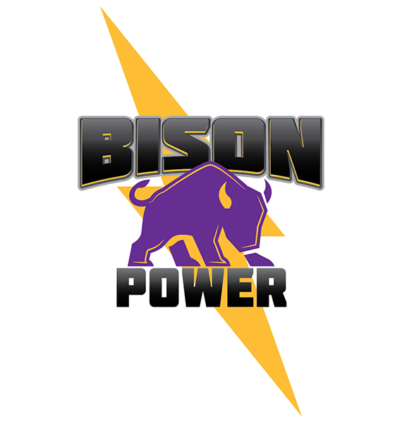 BISON POWER