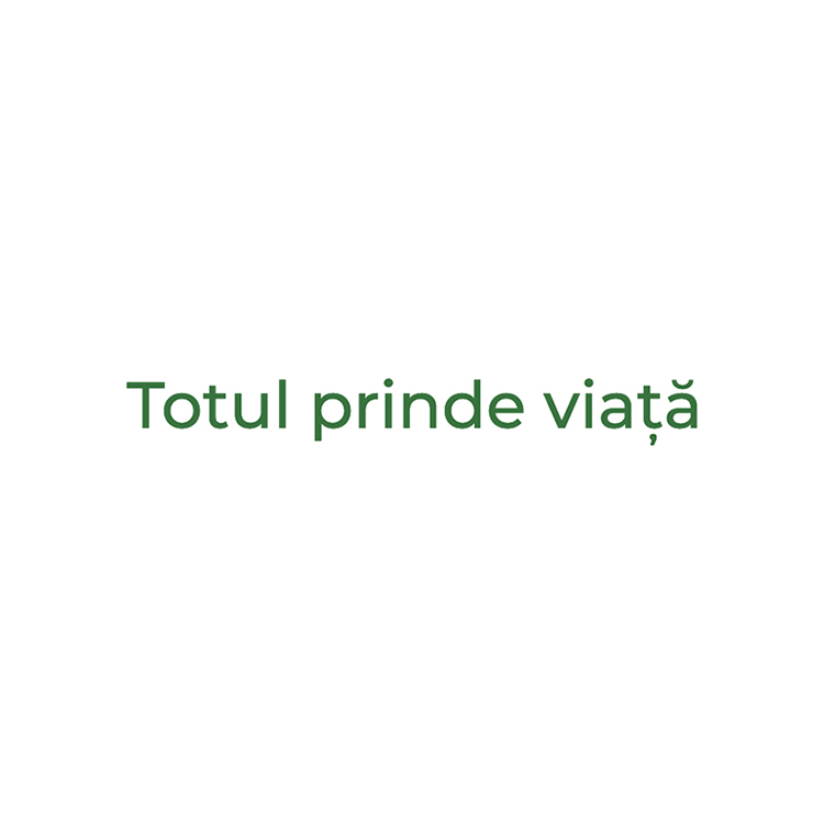 Totul prinde viață