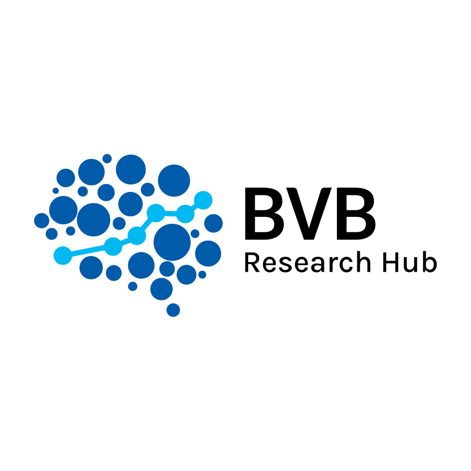 BVB RESEARCH HUB