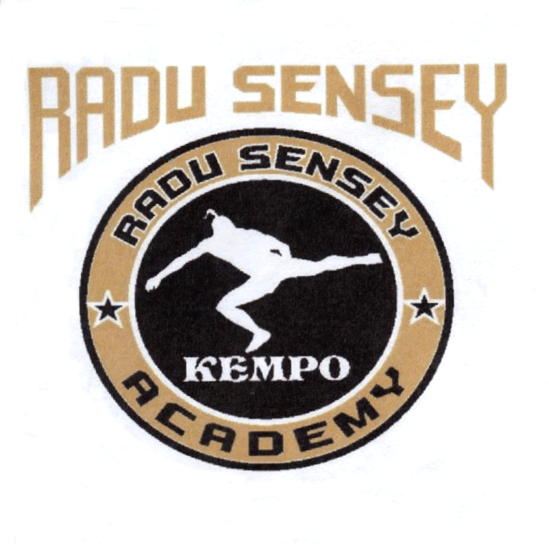 RADU SENSEY KEMPO ACADEMY