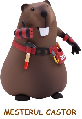 MESTERUL CASTOR