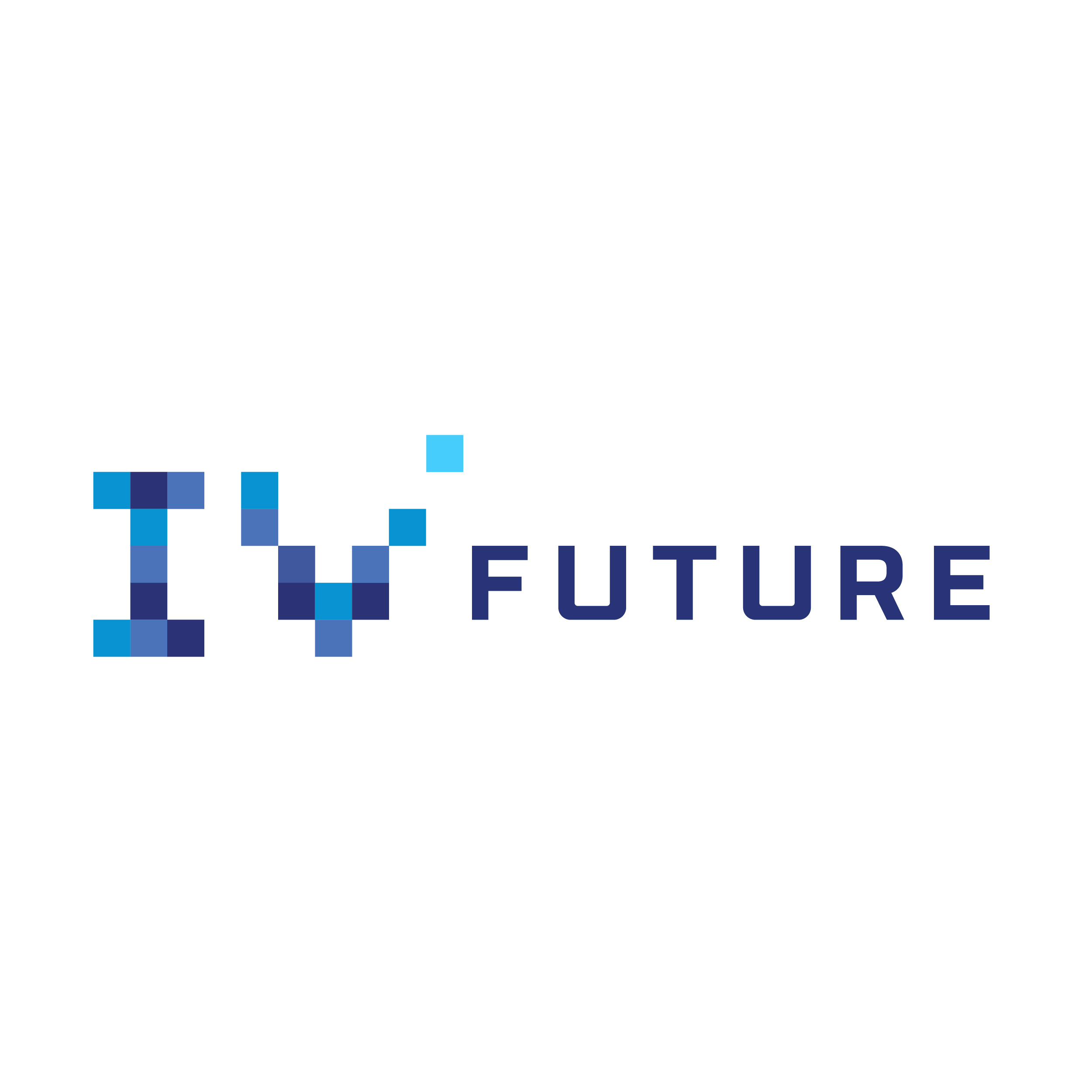 IV FUTURE
