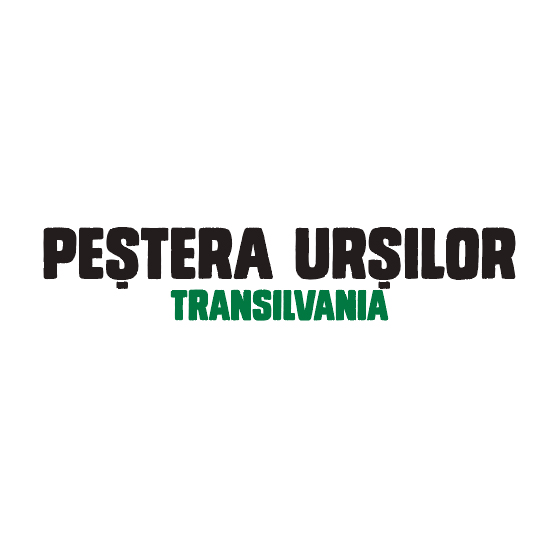 PEȘTERA URȘILOR TRANSILVANIA