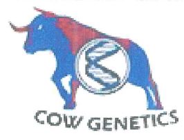 COW GENETICS