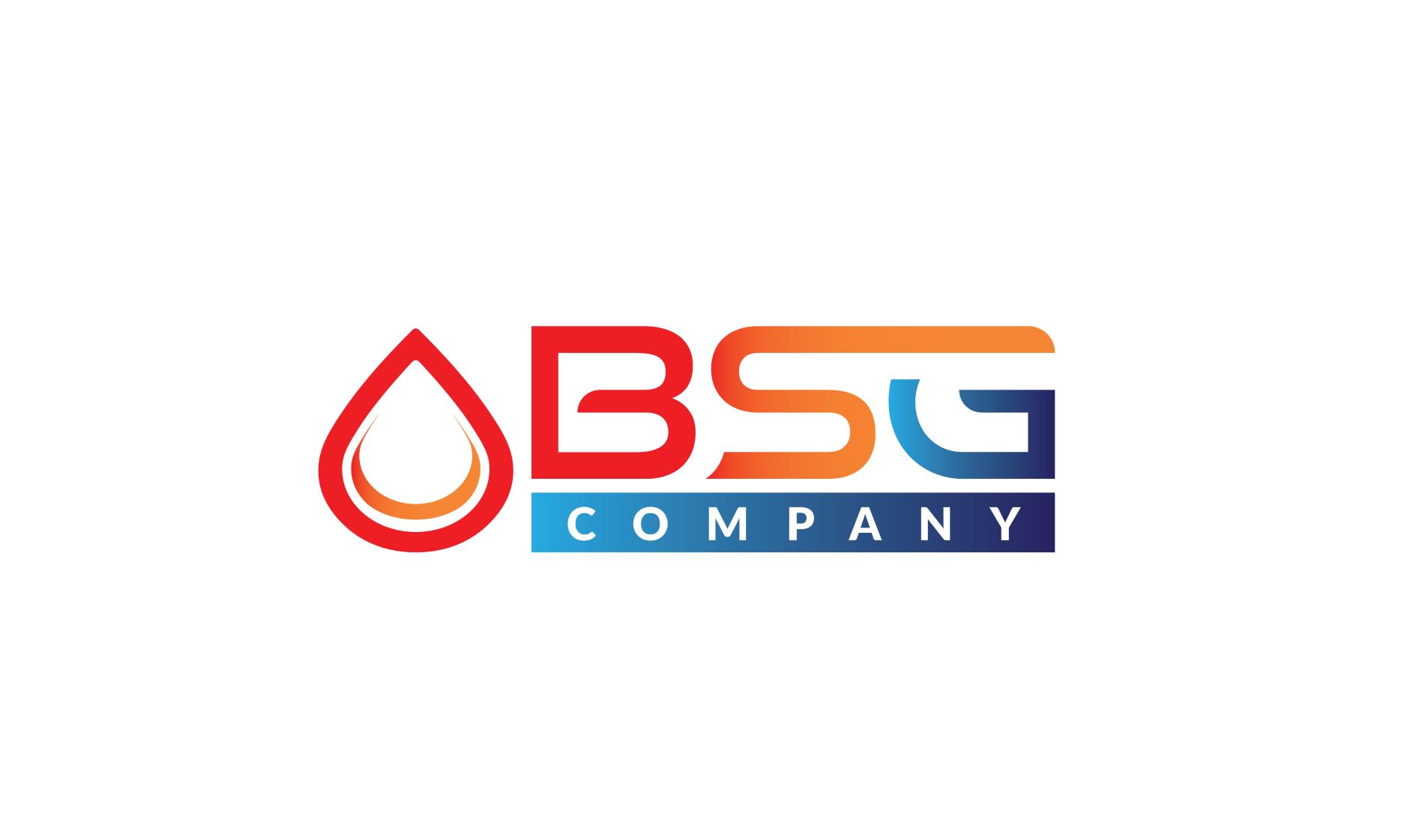 BSG COMPANY