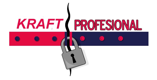 KRAFT PROFESIONAL