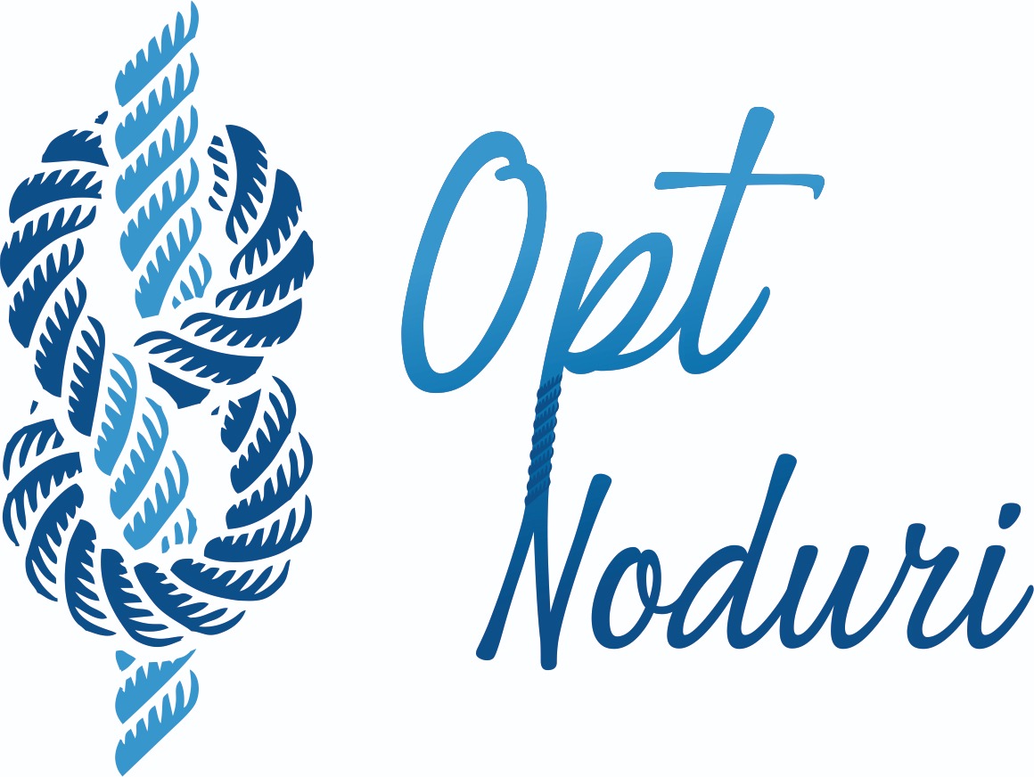Opt Noduri