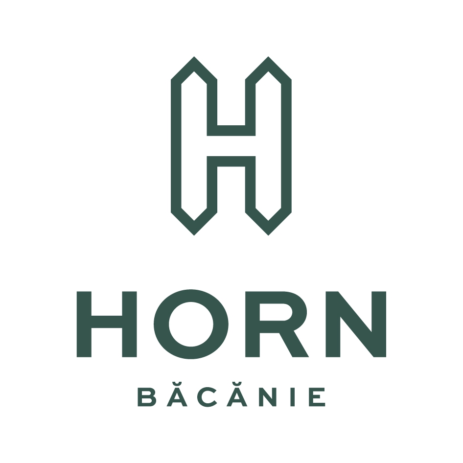 H HORN BĂCĂNIE