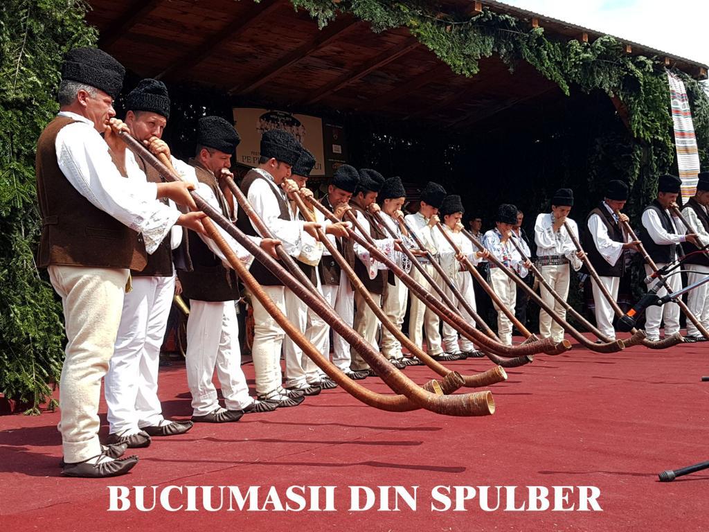 BUCIUMASII DIN SPULBER
