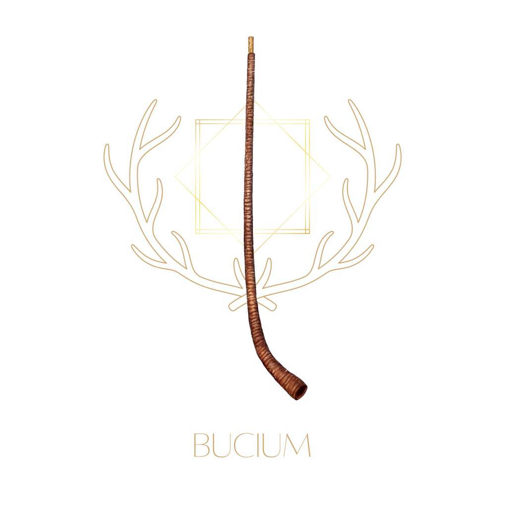 BUCIUM