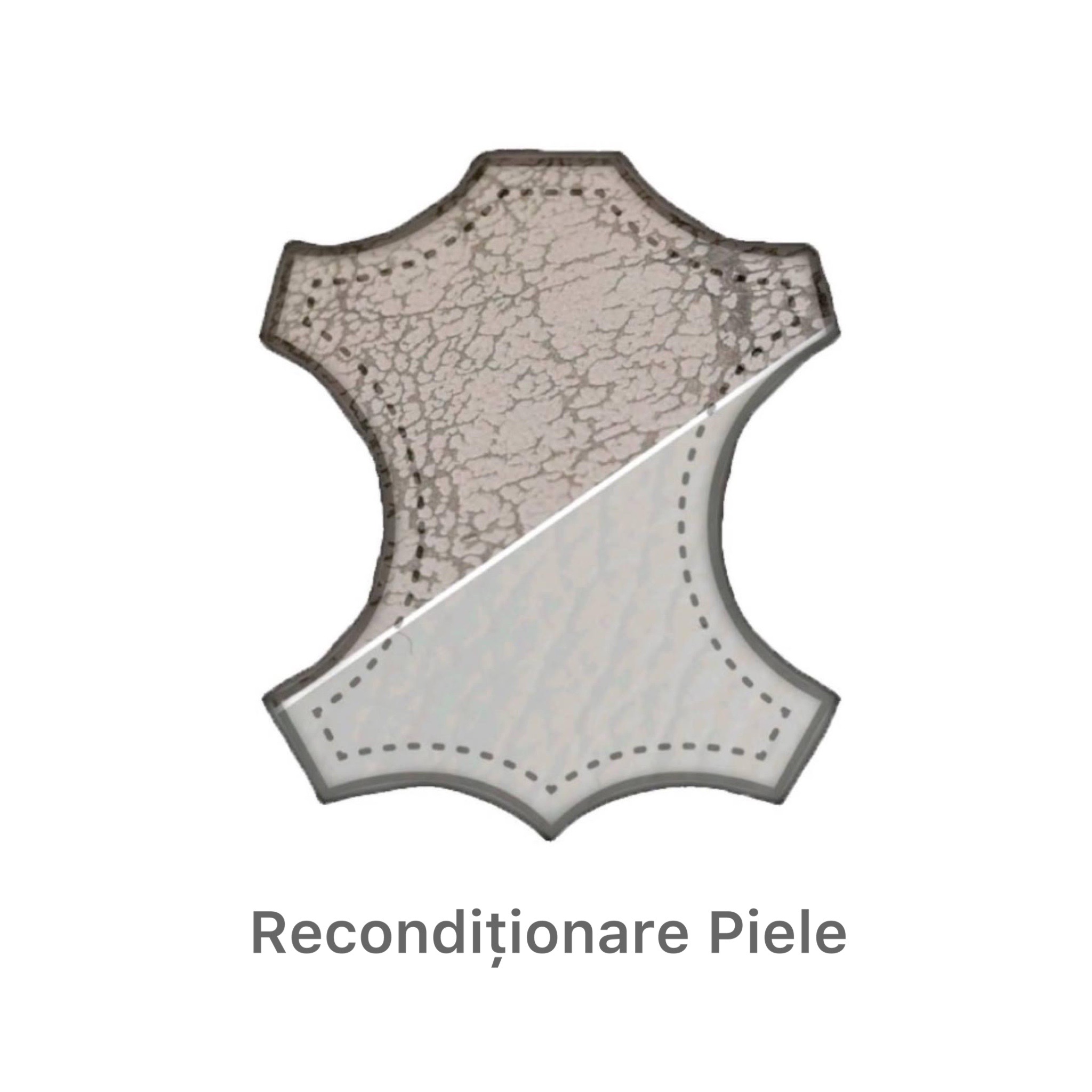 Recondiționare Piele