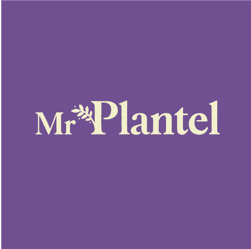 Mr Plantel