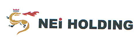NEI HOLDING