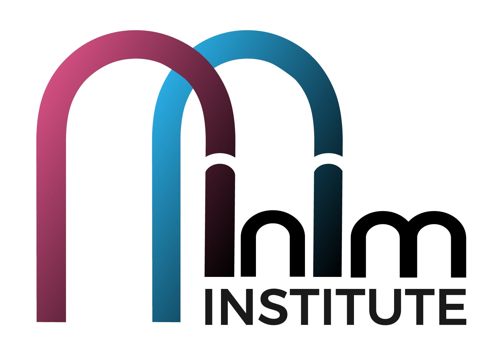 InIm INSTITUTE