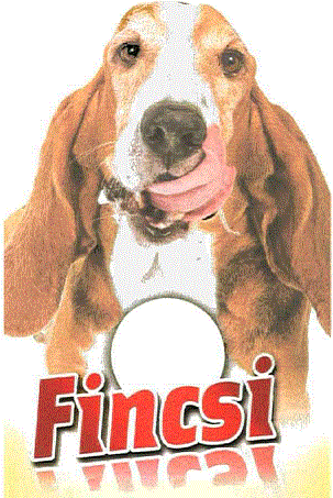 Fincsi