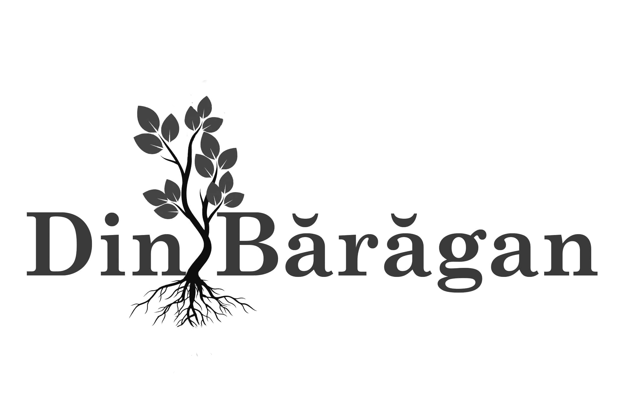 Din Bărăgan
