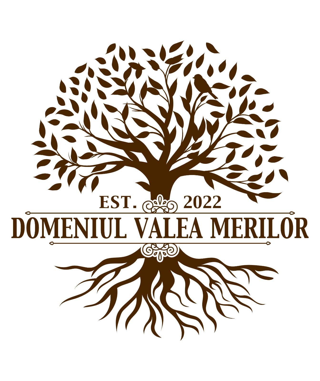 EST. 2022 DOMENIUL VALEA MERILOR