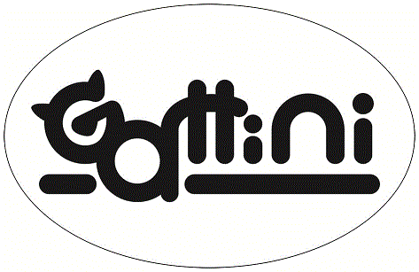 Gattini