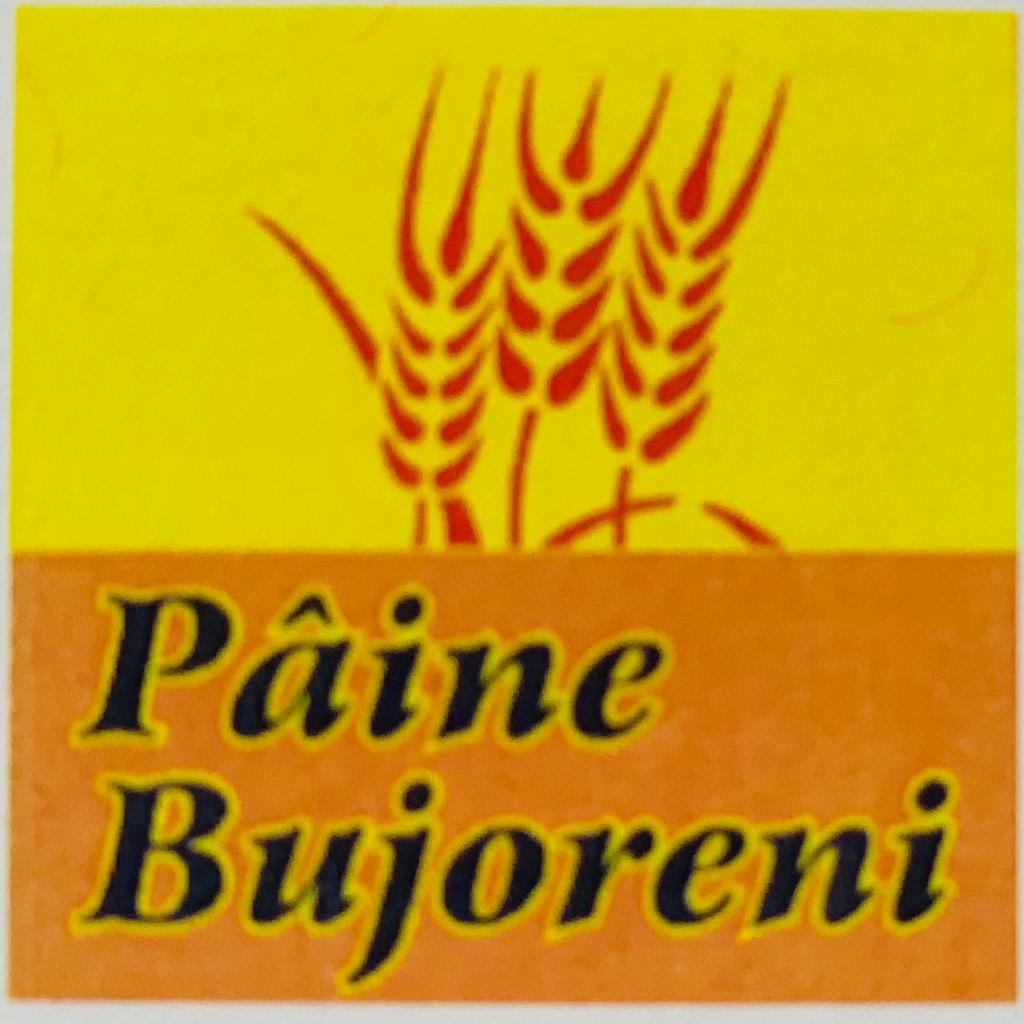 Paine Bujoreni