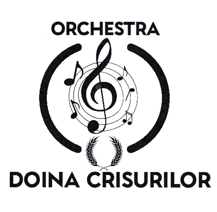 ORCHESTRA DOINA CRISURILOR