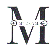 M MICSAM