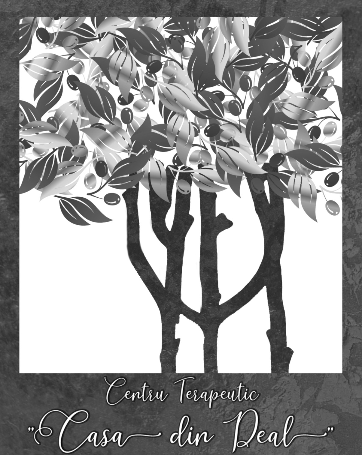 Centru Terapeutic 