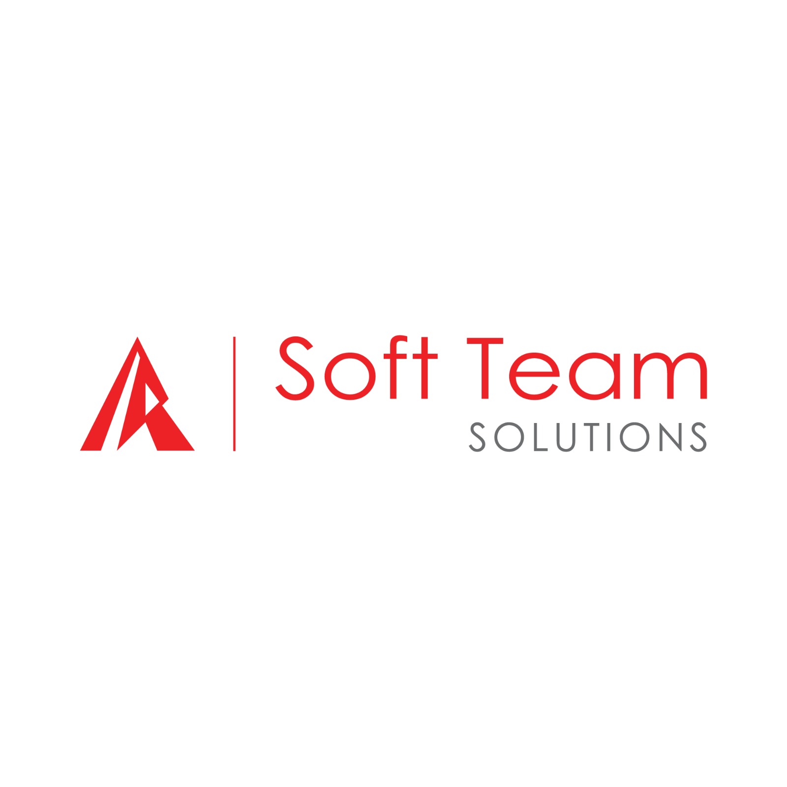 Soft Team SOLUTIONS