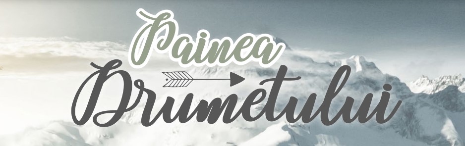 PAINEA DRUMETULUI