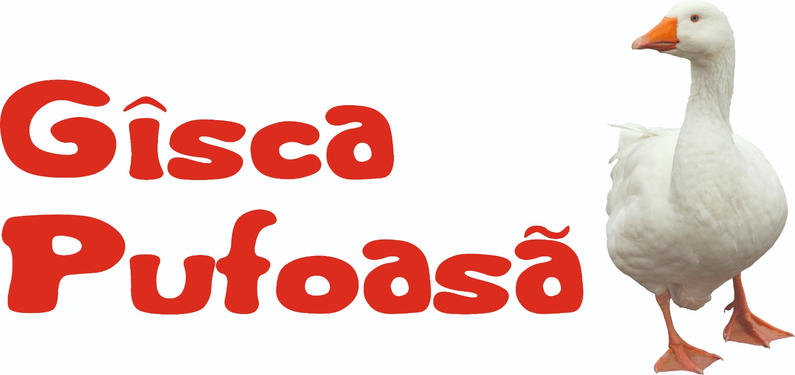 Gîsca Pufoasă