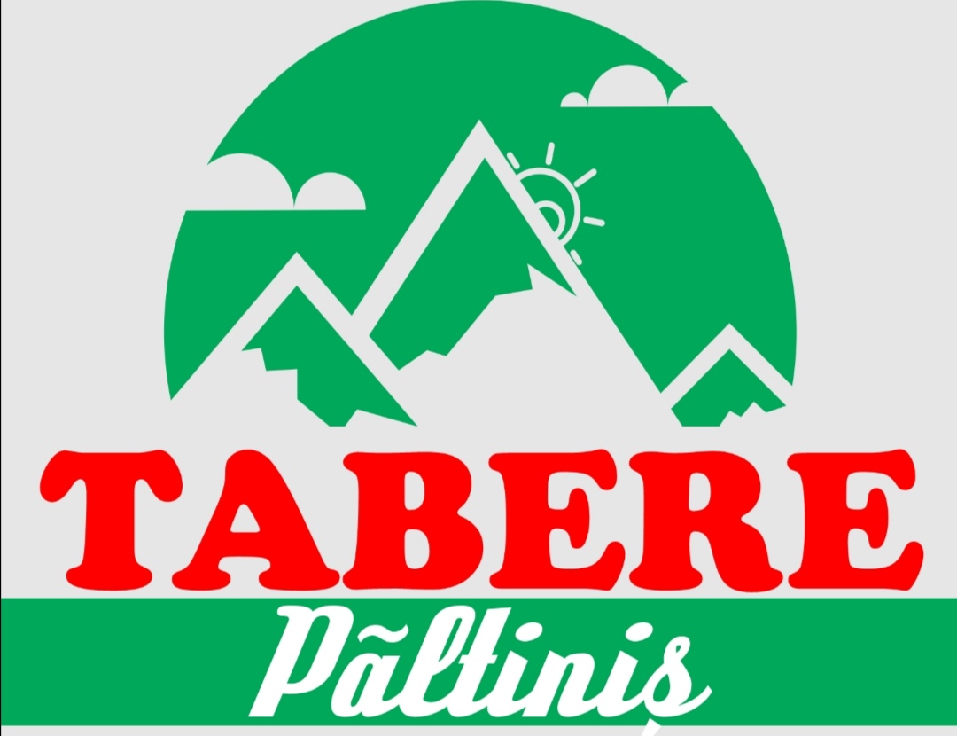 Tabere Păltiniș