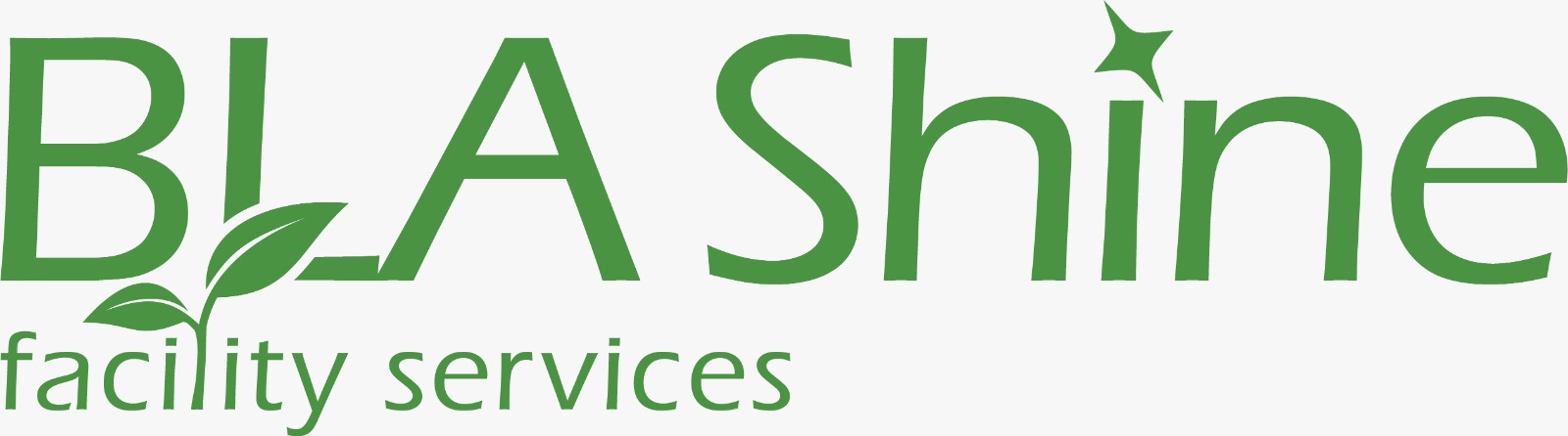 BLA Shine facility services
