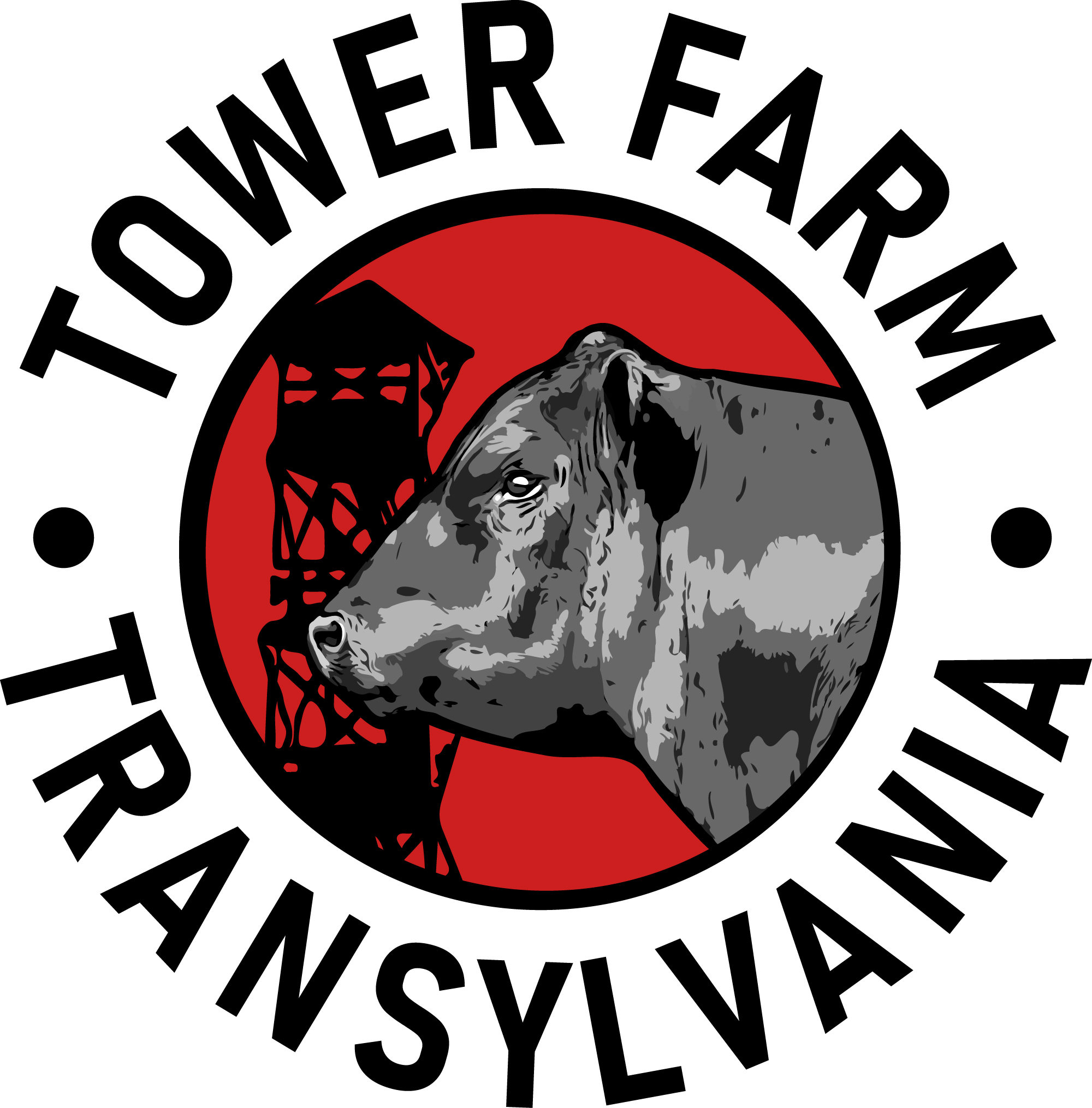 TOWER FARM TRANSYLVANIA