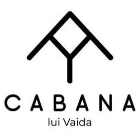 CABANA lui VAIDA