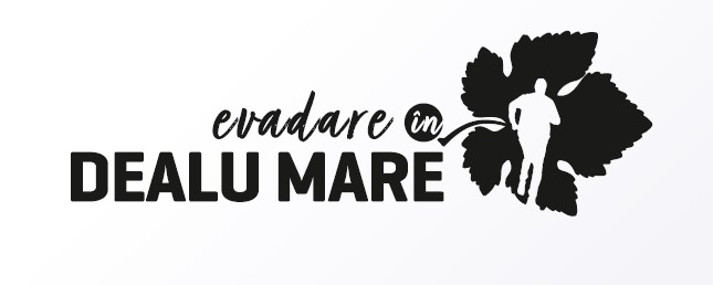 evadare în DEALU MARE