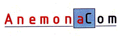 AnemonaCom