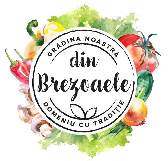 GRADINA NOASTRA DIN BREZOAELE DOMENIU CU TRADITIE