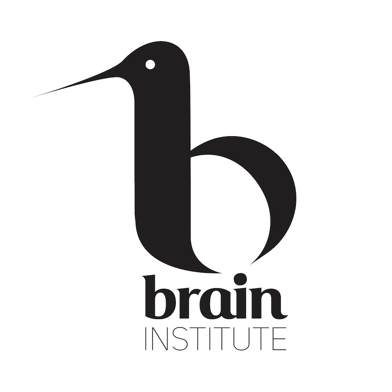 b brain INSTITUTE