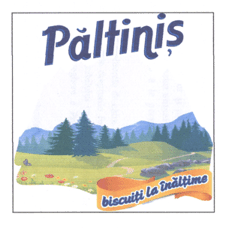 Păltiniș biscuiți la înălțime
