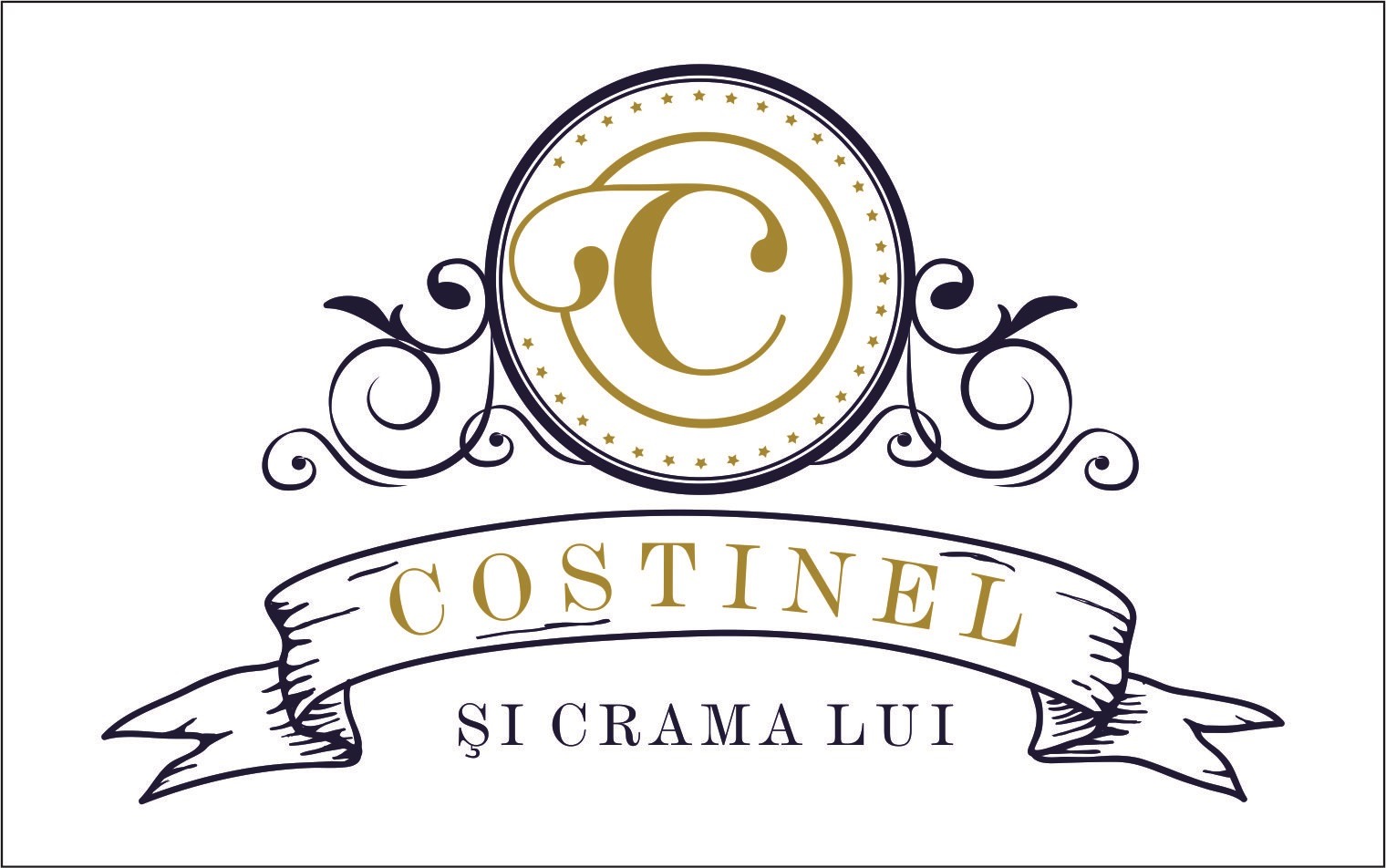 C COSTINEL ȘI CRAMA LUI