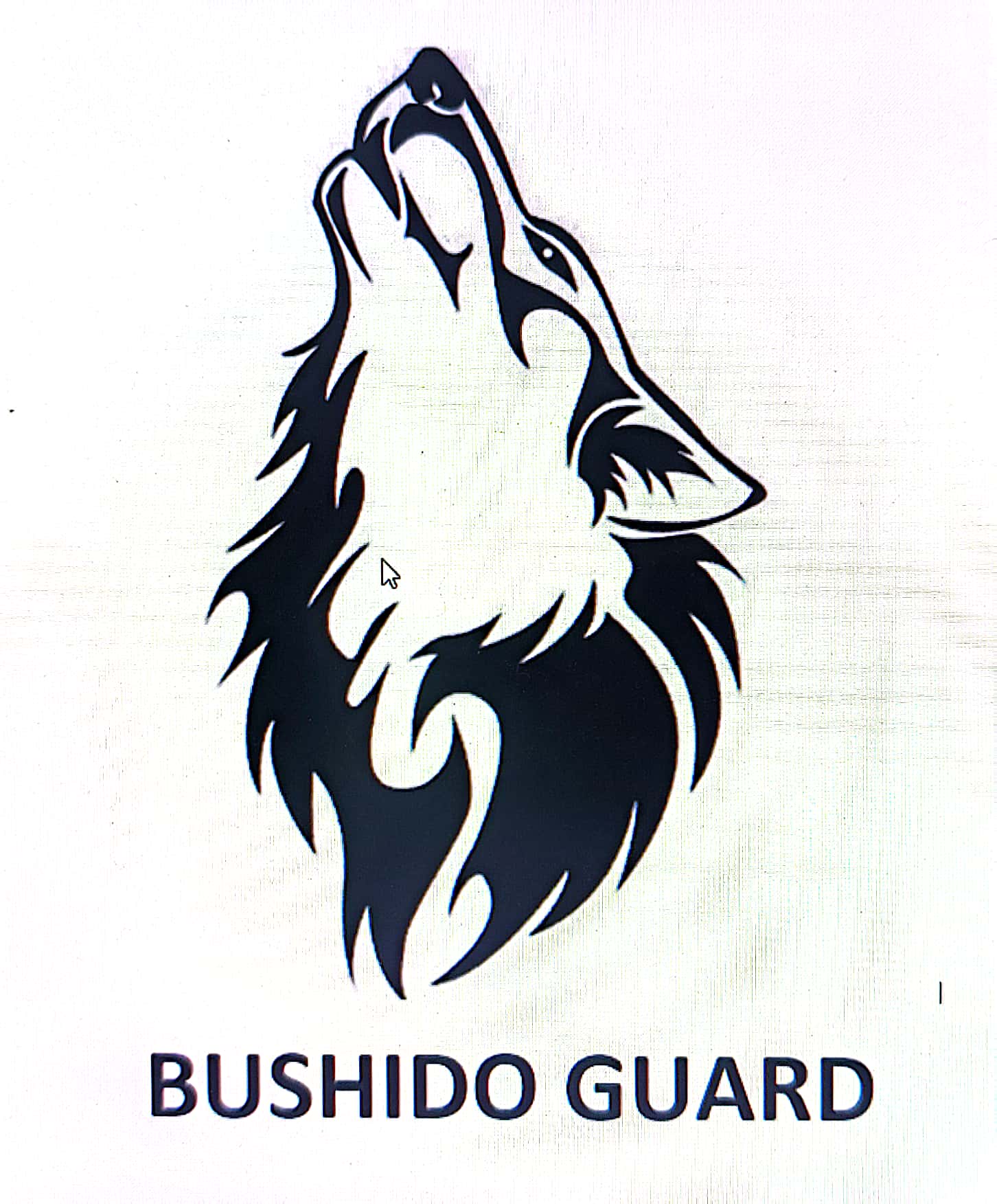 BUSHIDO GUARD