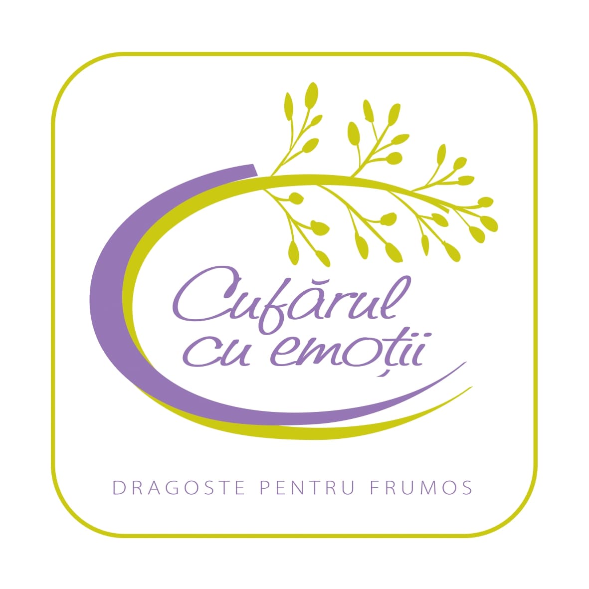 Cufărul cu emoții DRAGOSTE PENTRU FRUMOS