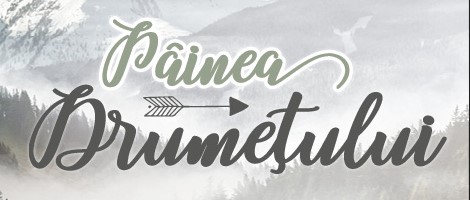 PAINEA DRUMETULUI