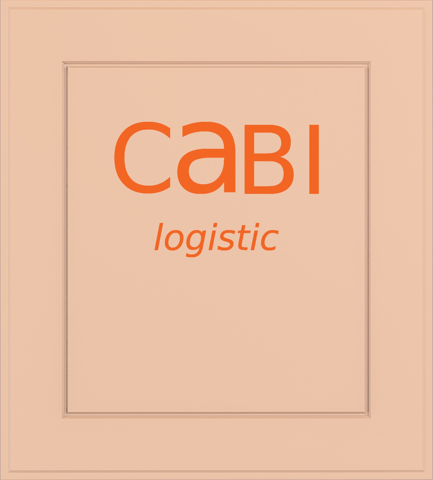 CaBI logistic