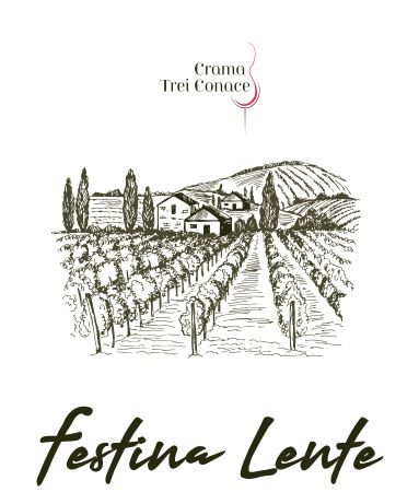 Crama Trei Conace Festina Lente