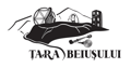 Țara Beiuşului