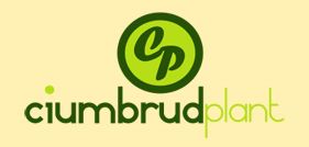 CP CIUMBRUDPLANT
