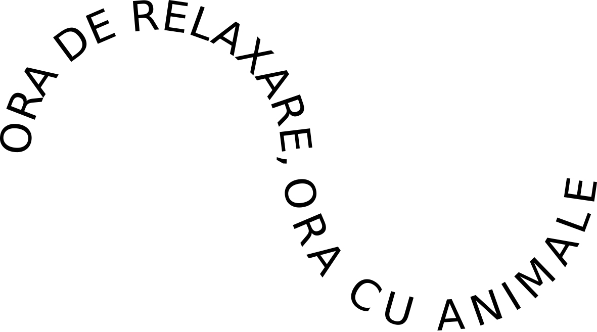 ORA DE RELAXARE, ORA CU ANIMALE
