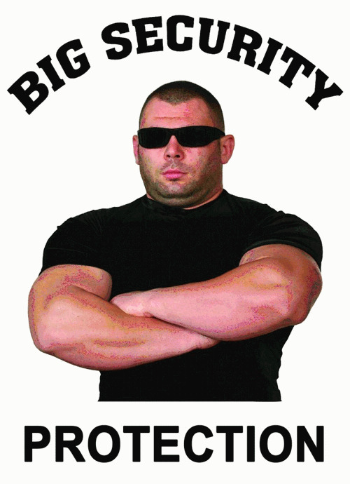 BIG SECURITY PROTECTION