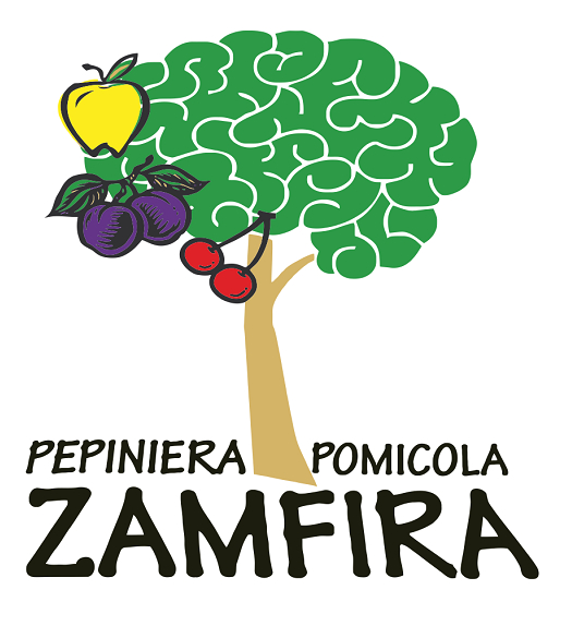 PEPINIERA POMICOLA ZAMFIRA